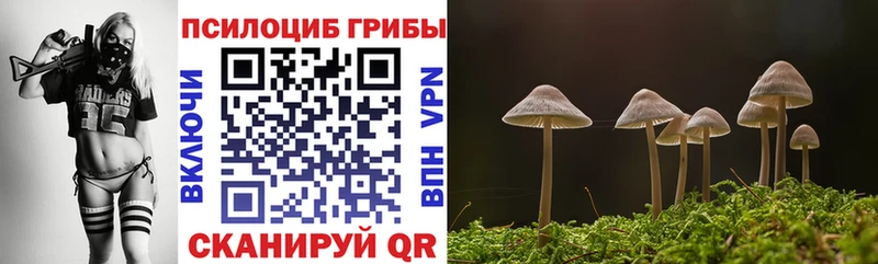 Галлюциногенные грибы Psilocybe  ссылка на мегу вход  Углич 